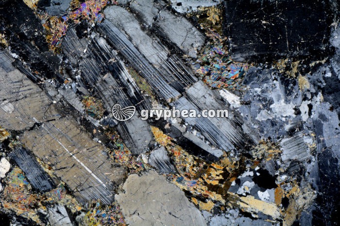 Métagabbro à Hornblende LPA x3,5 - gryphea.com